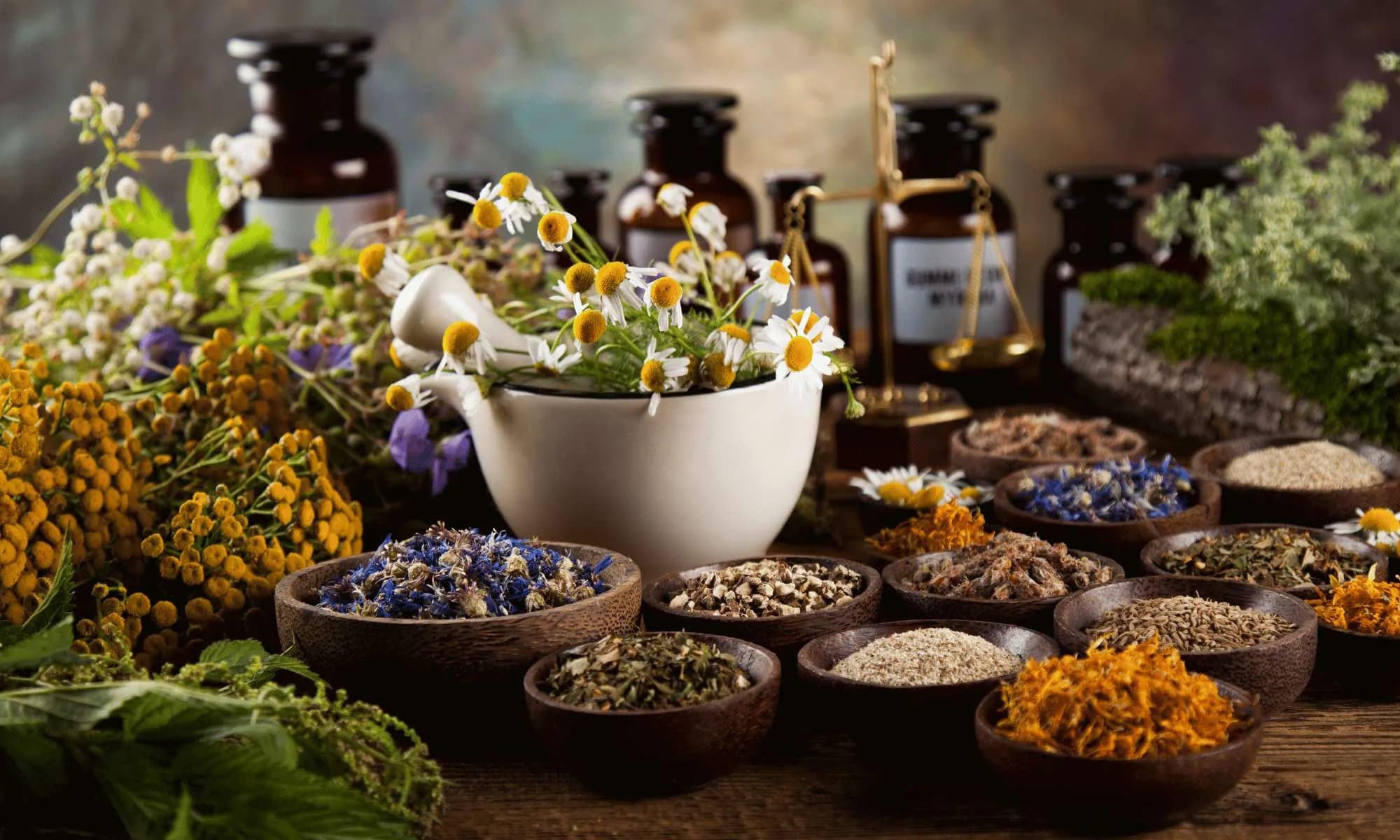 Exploring Herbal Remedies for Supporting Mental Wellness preview